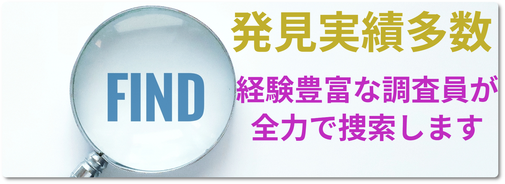 調査のプロが全力捜索