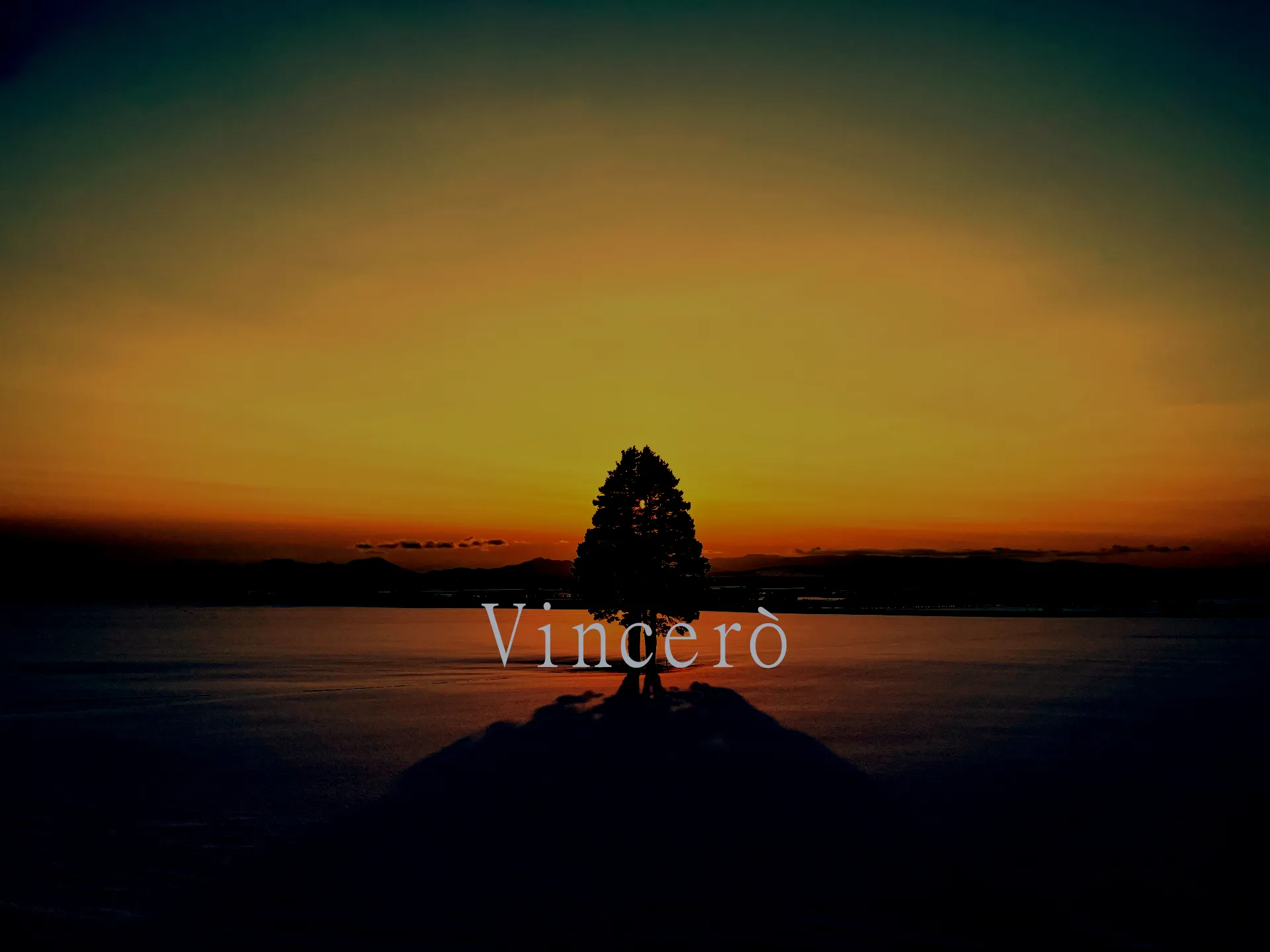 Vincerò Service